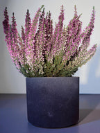 Handmade Concrete Container | Planter & Decorative Pot | Minimalist Decor | Concrete Flower Pot | Modern Handmade Organizer