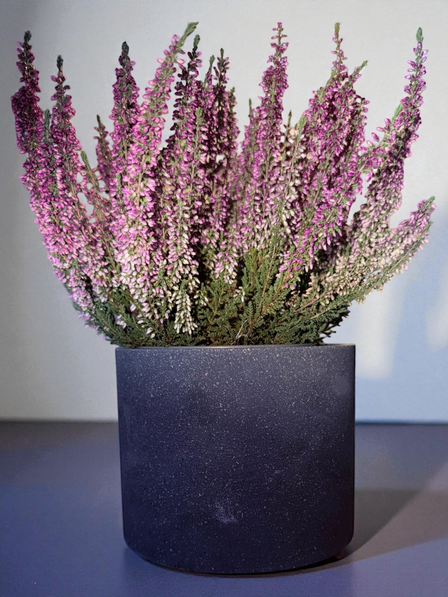 Handgemachter Betonbehälter | Pflanztopf & Dekogefäß | Minimalistische Deko | Blumentopf Beton | Organizer modern handmade