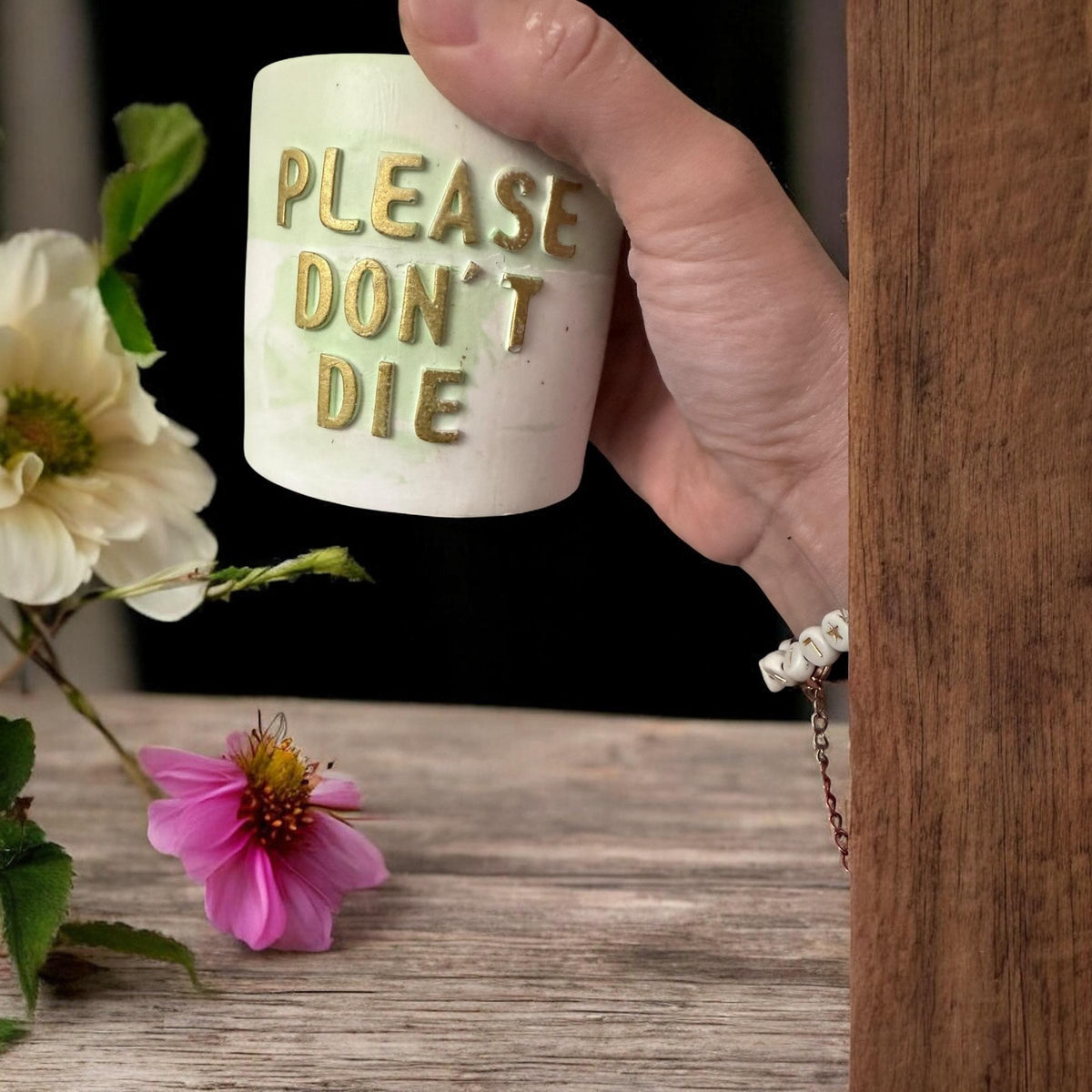 Witziger Blumentopf aus Gießmasse | „Please Don’t Die“ Pflanzenübertopf | Handmade Dekoration für Zimmerpflanzen | Geschenk für Pflanze