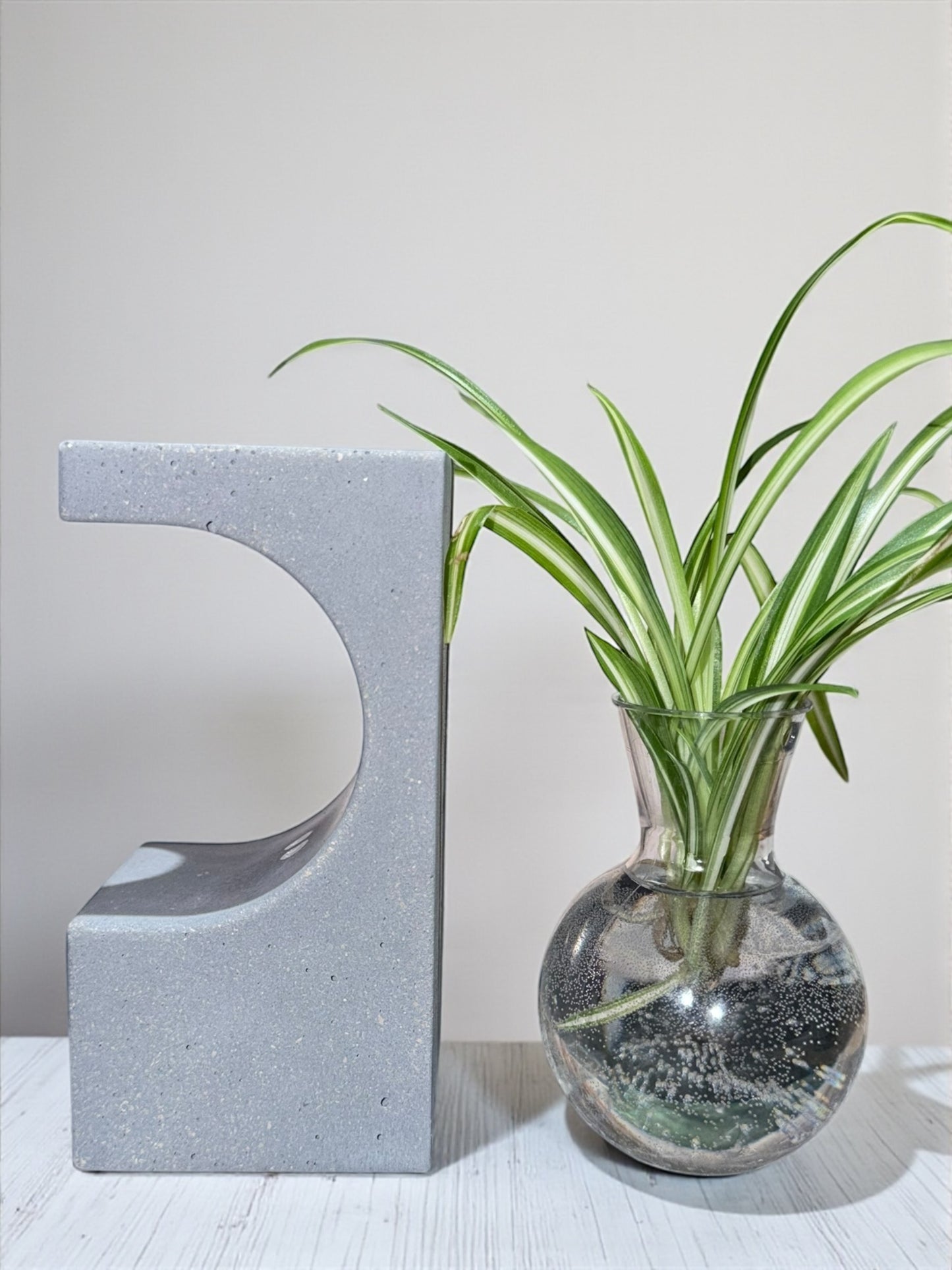 Handgegossene Beton-Vase – Modernes Designobjekt für dein Zuhause