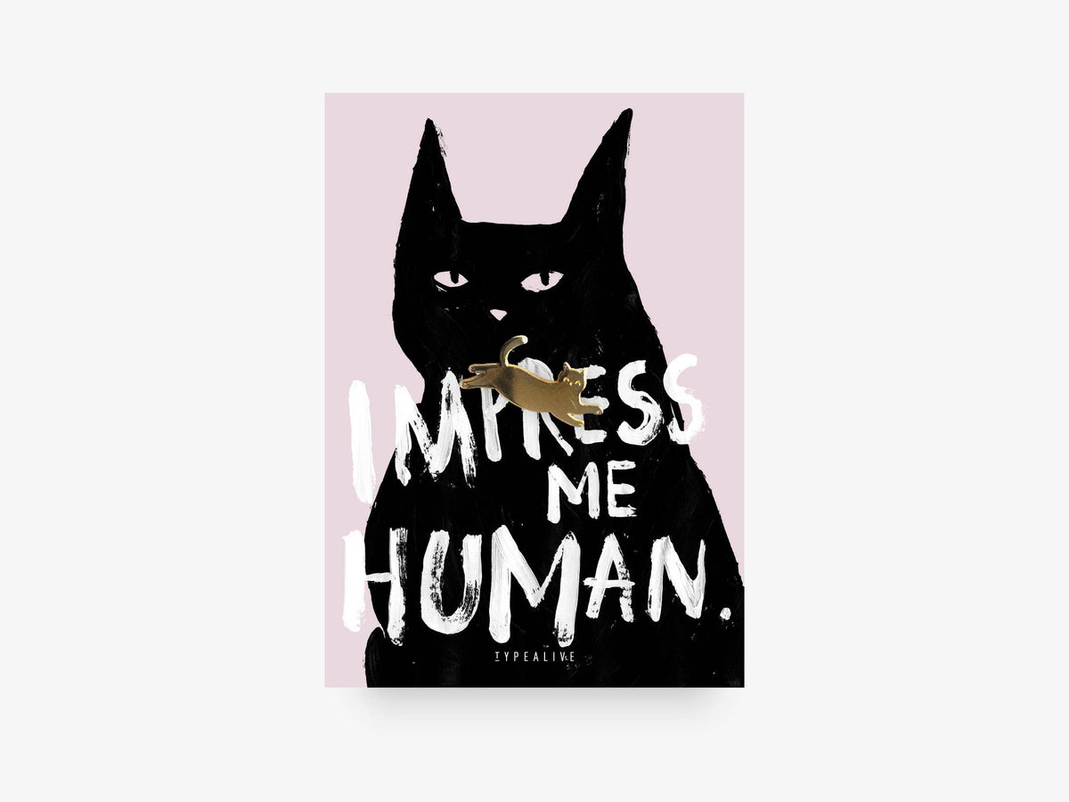 Pin / Impress Me