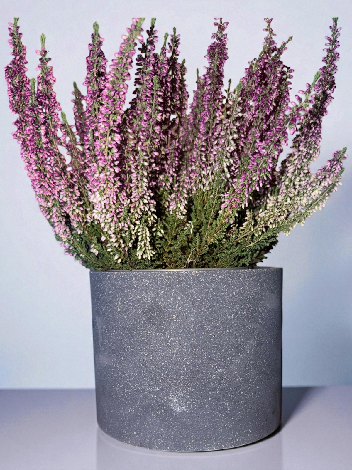 Handgemachter Betonbehälter | Pflanztopf & Dekogefäß | Minimalistische Deko | Blumentopf Beton | Organizer modern handmade