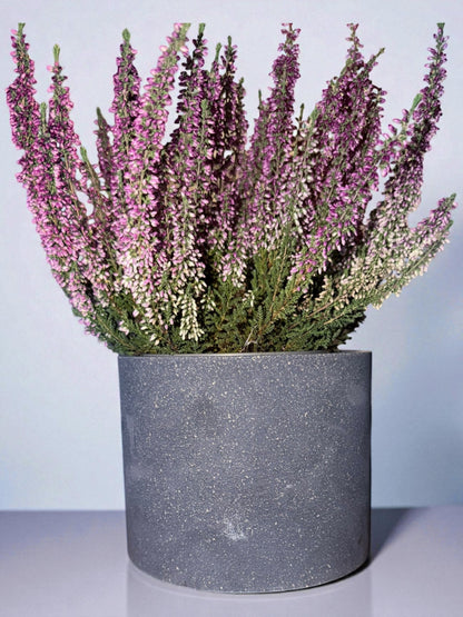 Handgemachter Betonbehälter | Pflanztopf & Dekogefäß | Minimalistische Deko | Blumentopf Beton | Organizer modern handmade