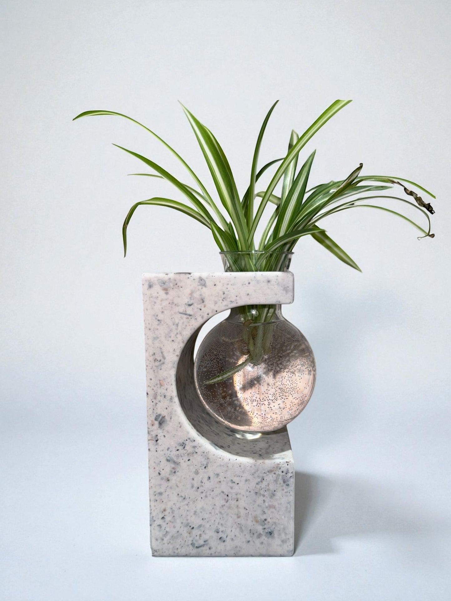 Handgegossene Beton-Vase – Modernes Designobjekt für dein Zuhause