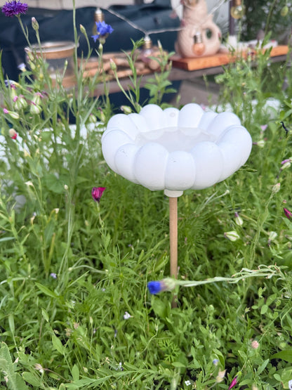 Insekten Tränke