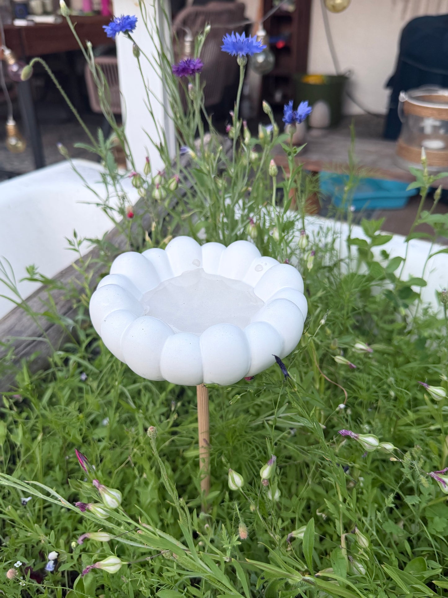 Insekten Tränke