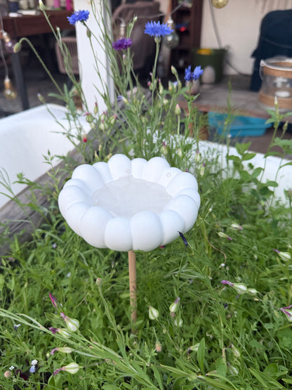 Insekten Tränke