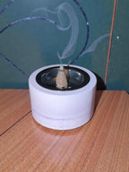 Räucher Schale